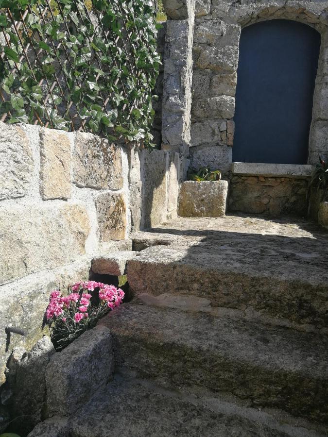 Casa Colmeia エシュポゼンデ エクステリア 写真
